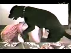 Early brute cheating wife getting her slit stretched wide by her dog in VHS footage - pervertslut